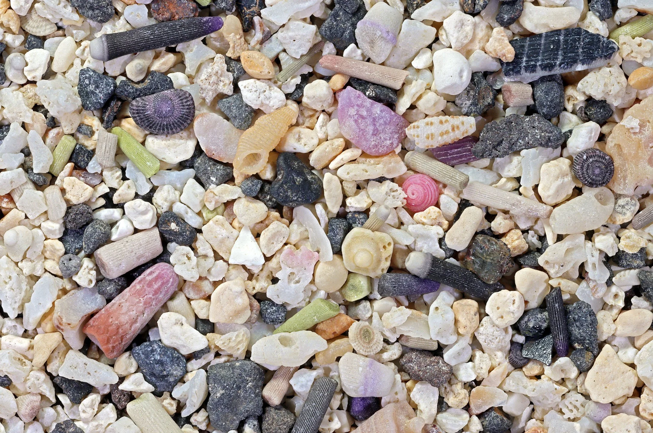 Request Sand | Join the Adventure — International Sand Collectors
